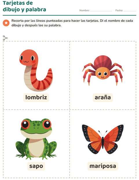 Vista previa de la hoja de Tarjetas de dibujo y palabra con Criaturas del bosque para jardín infantil