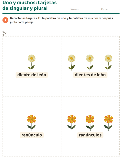 Vista previa de la hoja de Tarjetas de dibujo y palabra con Flores para jardín infantil