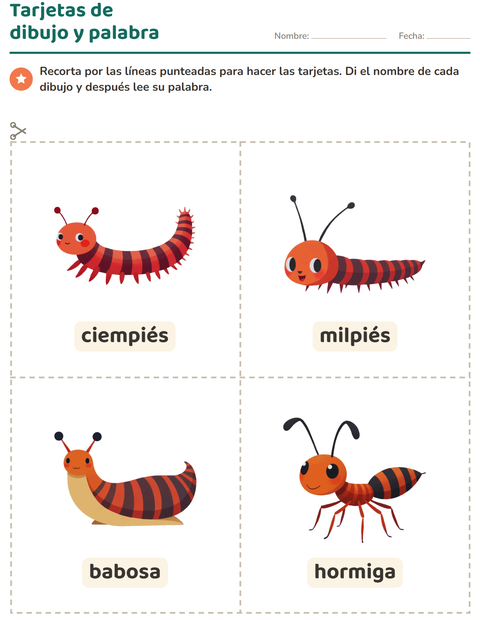 Vista previa de la hoja de Tarjetas de dibujo y palabra con Insectos y bichos para jardín infantil