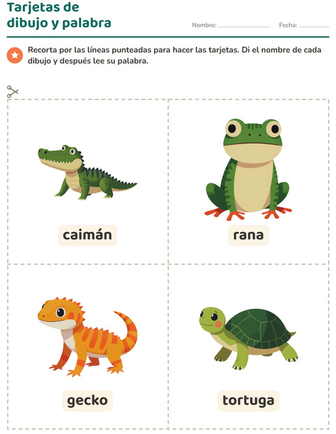 Vista previa de la hoja de Tarjetas de dibujo y palabra con Reptiles y anfibios para jardín infantil
