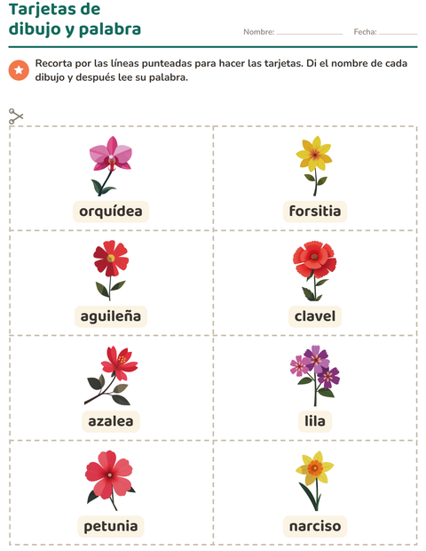 Vista previa de la hoja de Tarjetas de dibujo y palabra con Flores para jardín infantil