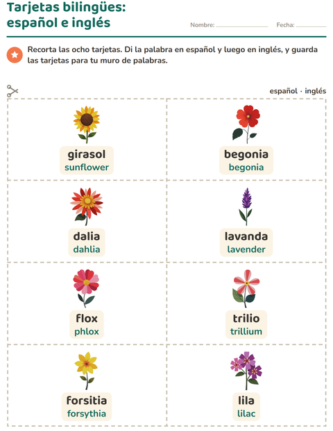 Vista previa de la hoja de Tarjetas de dibujo y palabra con Flores para jardín infantil