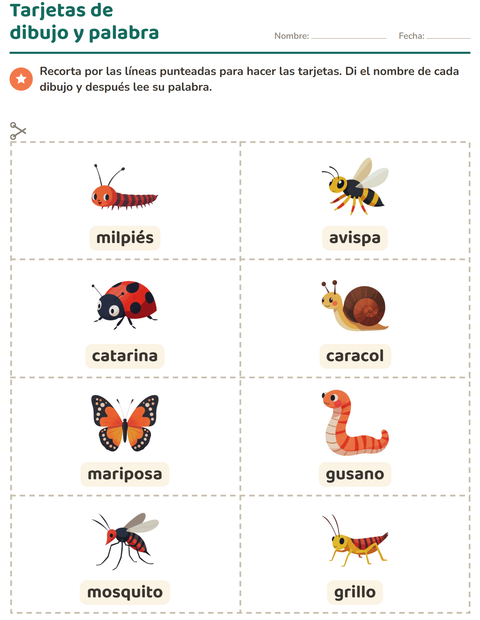 Vista previa de la hoja de Tarjetas de dibujo y palabra con Insectos y bichos para jardín infantil