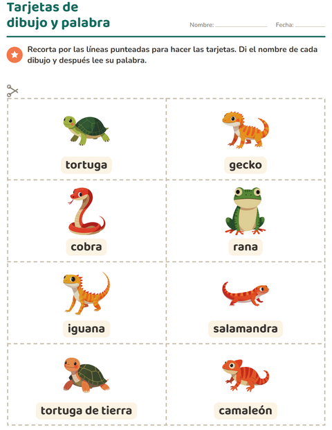 Vista previa de la hoja de Tarjetas de dibujo y palabra con Reptiles y anfibios para jardín infantil