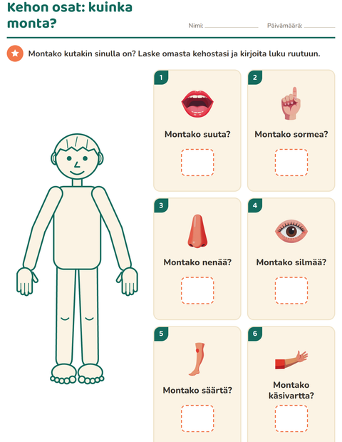Kehon osat: kuinka monta minulla on?