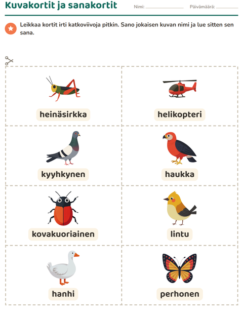Esikatselu: Kuvakortit-tehtäväarkki, aiheena Lentävät asiat, Esiopetus