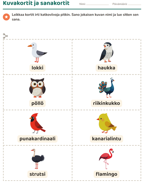 Esikatselu: Kuvakortit-tehtäväarkki, aiheena Linnut 2, Esiopetus