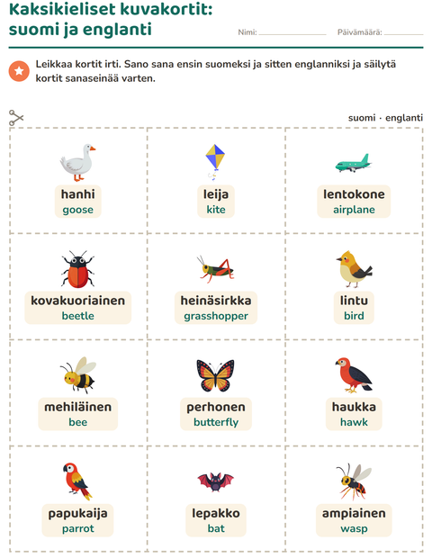 Esikatselu: Kuvakortit-tehtäväarkki, aiheena Lentävät asiat, Esiopetus