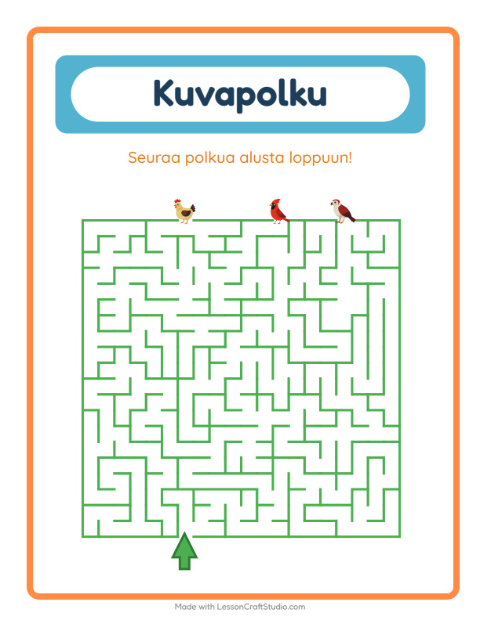 Kuvapolku – Linnut 2