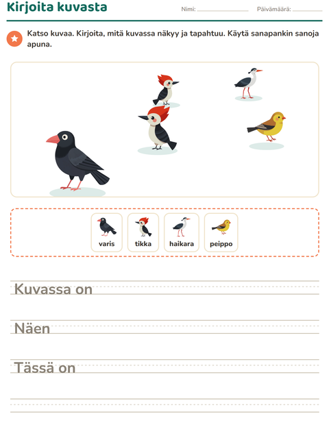 Esikatselu: Kuvasta kirjoittaminen-tehtäväarkki, aiheena Linnut 2, 2. luokka