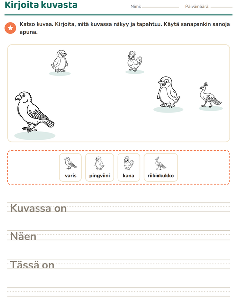 Esikatselu: Kuvasta kirjoittaminen-tehtäväarkki, aiheena Linnut M&V, 2. luokka