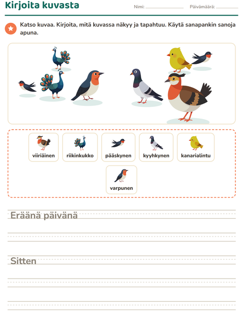Esikatselu: Kuvasta kirjoittaminen-tehtäväarkki, aiheena Linnut 2, 2. luokka