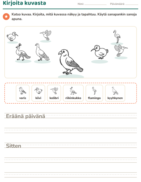 Esikatselu: Kuvasta kirjoittaminen-tehtäväarkki, aiheena Linnut M&V, 2. luokka