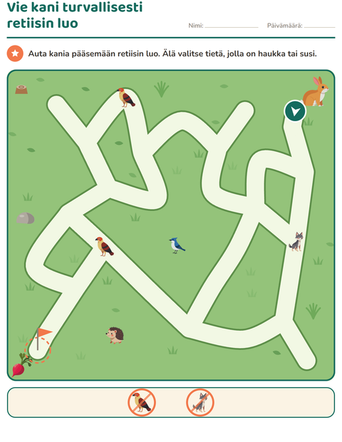 Esikatselu: Labyrinttitehtävät-tehtäväarkki, 1. luokka