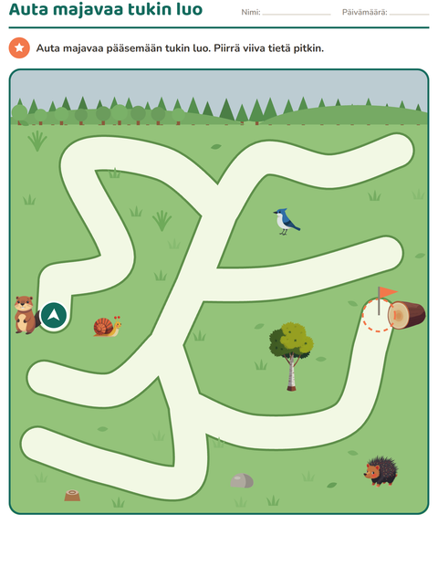 Esikatselu: Labyrinttitehtävät-tehtäväarkki, Esiopetus
