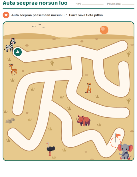 Esikatselu: Labyrinttitehtävät-tehtäväarkki, Esiopetus