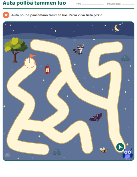 Esikatselu: Labyrinttitehtävät-tehtäväarkki, Esiopetus