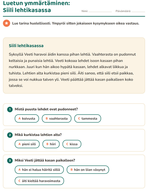 Esikatselu: Luetun ymmärtäminen-tehtäväarkki, 2. luokka