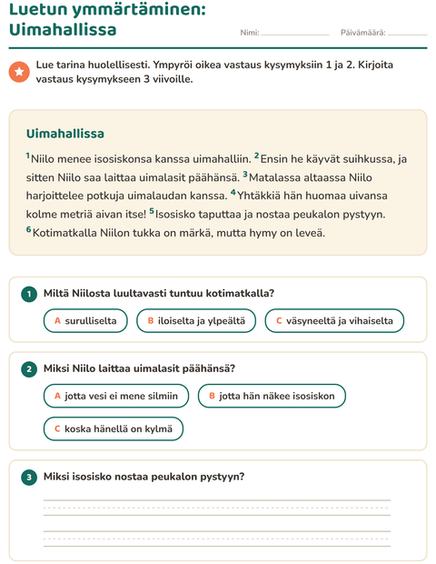 Esikatselu: Luetun ymmärtäminen-tehtäväarkki, 2. luokka