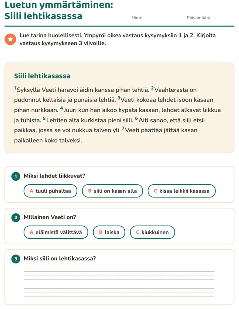 Esikatselu: Luetun ymmärtäminen-tehtäväarkki, 2. luokka