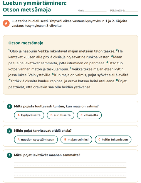 Esikatselu: Luetun ymmärtäminen-tehtäväarkki, 2. luokka