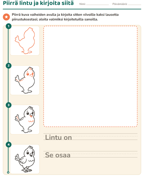 Esikatselu: Piirrä vaihe vaiheelta-tehtäväarkki, 2. luokka