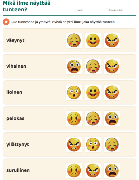 Esikatselu: Mikä ilme näyttää tunteen?