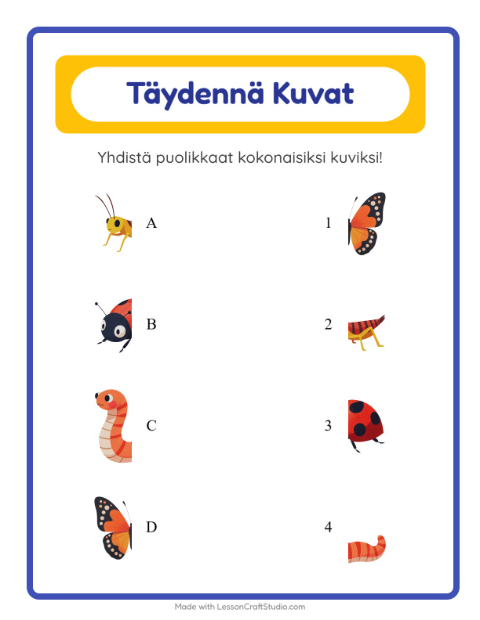 Yhdistä varjot – Hyönteiset ja ötökät