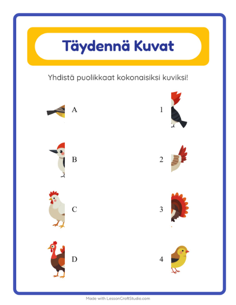 Esikatselu: Yhdistä varjot: Linnut 2 – esikouluikäisille