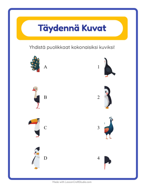 Esikatselu: Yhdistä varjot: Linnut – esikouluikäisille