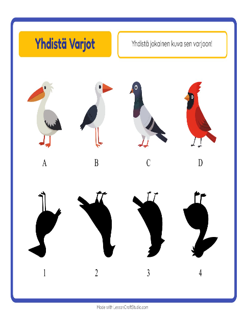 Etsi varjo – Linnut 2