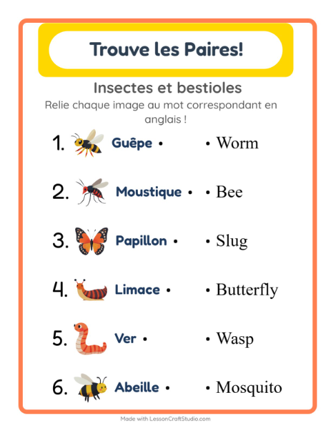 Associer images et mots en anglais – Insectes et bestioles