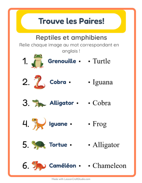Associer images et mots en anglais – Reptiles et amphibiens