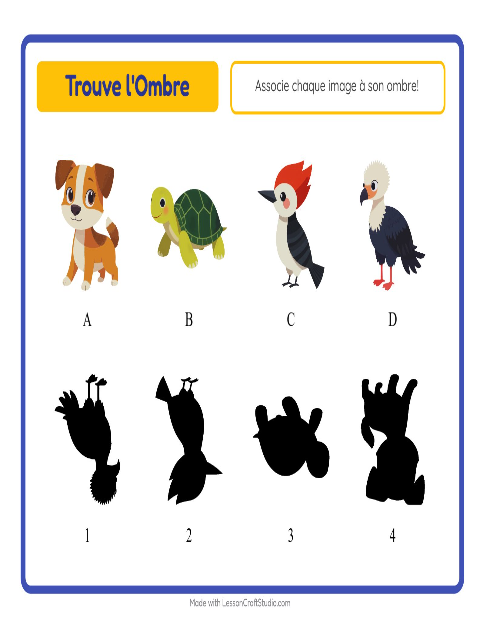 Les ombres – Animaux
