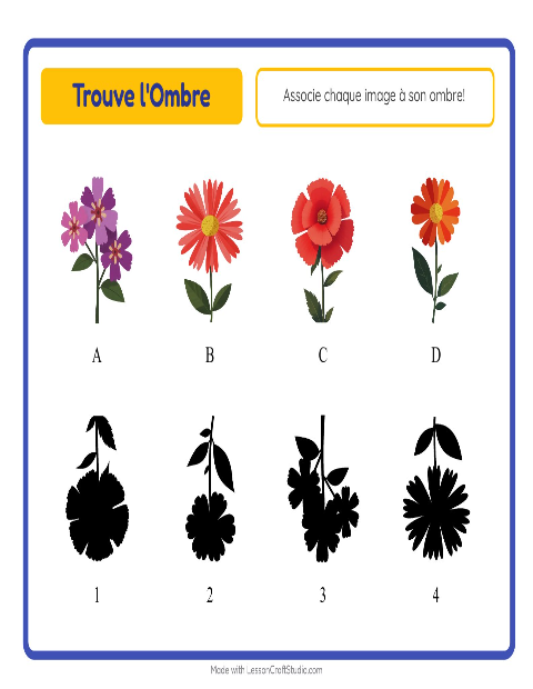 Aperçu de la fiche Apparier Les Ombres avec Fleurs pour École maternelle (grande section, 5-7 ans)