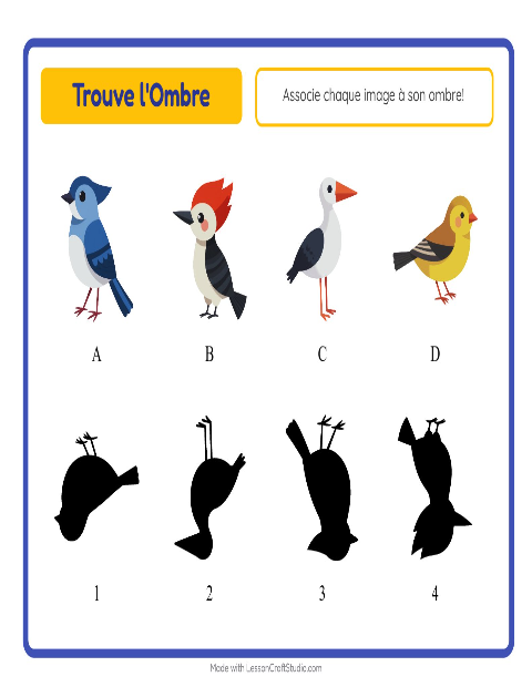 Aperçu de la fiche Apparier Les Ombres avec Oiseaux 2 pour École maternelle (grande section, 5-7 ans)