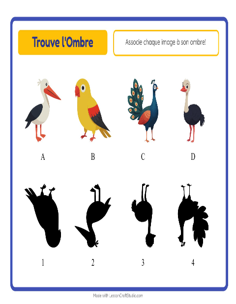 Aperçu de la fiche Apparier Les Ombres avec Oiseaux pour École maternelle (grande section, 5-7 ans)