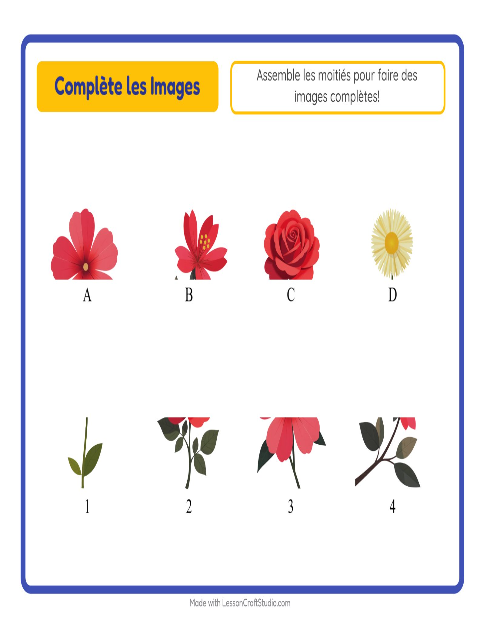 Aperçu de la fiche Apparier Les Ombres avec Fleurs pour École maternelle (grande section, 5-7 ans)