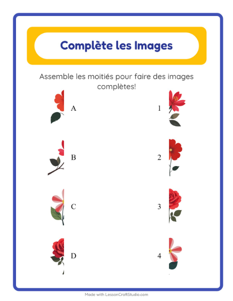Aperçu de la fiche Apparier Les Ombres avec Fleurs pour École maternelle (grande section, 5-7 ans)