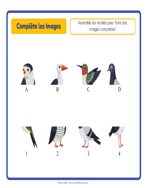 Aperçu de la fiche Apparier Les Ombres avec Oiseaux 2 pour École maternelle (grande section, 5-7 ans)