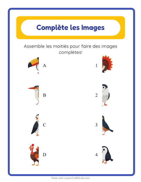 Aperçu de la fiche Apparier Les Ombres avec Oiseaux 2 pour École maternelle (grande section, 5-7 ans)