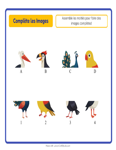 Aperçu de la fiche Apparier Les Ombres avec Oiseaux pour École maternelle (grande section, 5-7 ans)