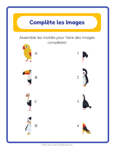 Aperçu de la fiche Apparier Les Ombres avec Oiseaux pour École maternelle (grande section, 5-7 ans)