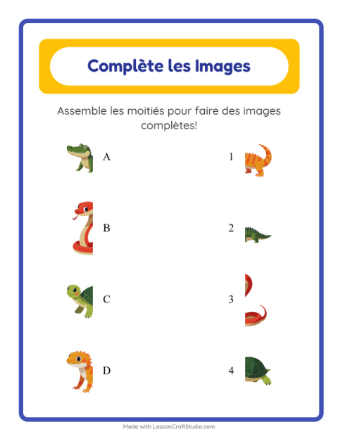 Aperçu de la fiche Apparier Les Ombres avec Reptiles et amphibiens pour École maternelle (grande section, 5-7 ans)