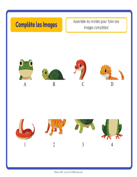 Aperçu de la fiche Apparier Les Ombres avec Reptiles et amphibiens pour École maternelle (grande section, 5-7 ans)