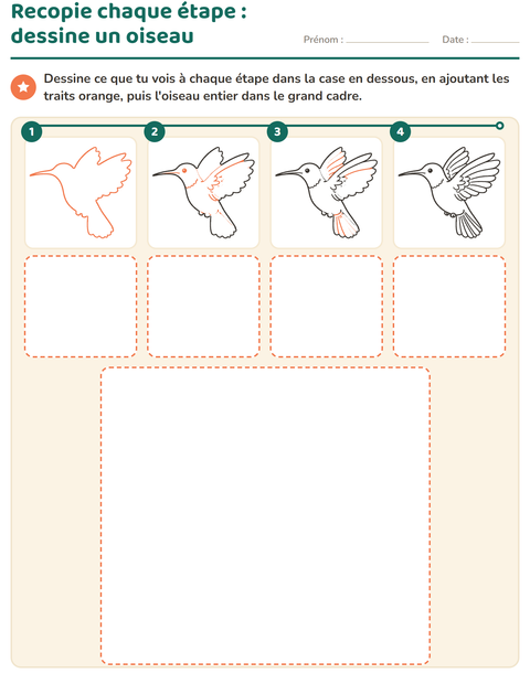 Aperçu : Recopie chaque étape : dessine un oiseau
