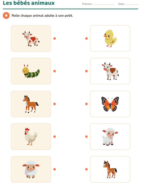 Aperçu de la fiche Associations en sciences pour École maternelle (grande section, 5-7 ans)