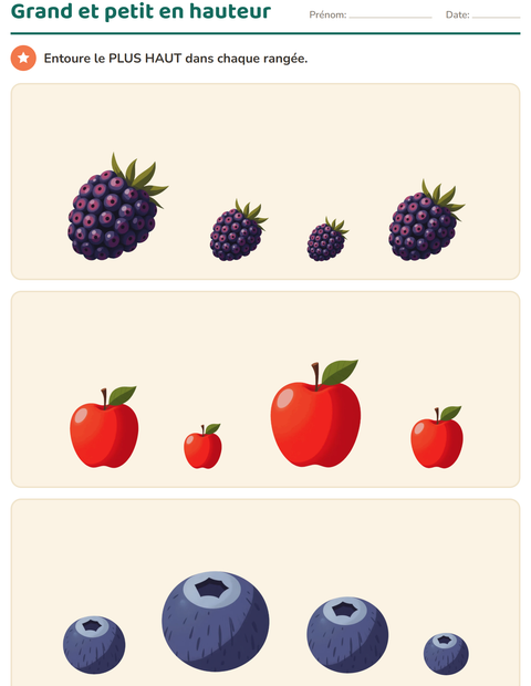 Aperçu de la fiche Comparer les tailles avec Fruits pour École maternelle (grande section, 5-7 ans)
