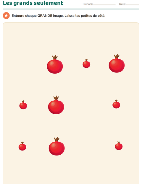 Aperçu de la fiche Comparer les tailles avec Fruits pour École maternelle (grande section, 5-7 ans)
