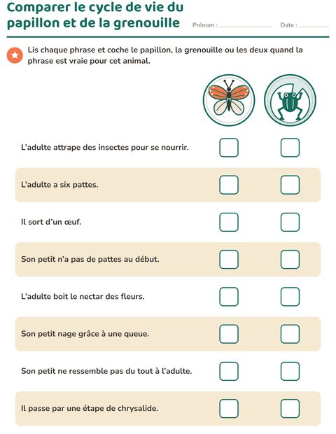 Comparer le cycle de vie du papillon et de la grenouille